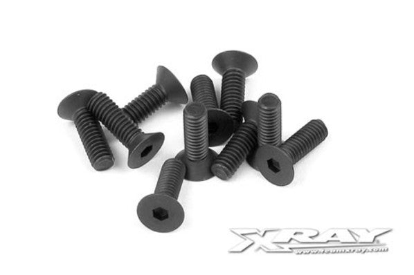 XR903256 HEX SCREW SFH M2.5X6 (10)