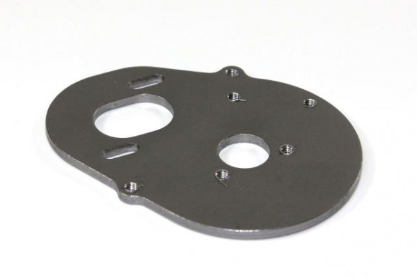 T02036 Motor Plate 2WD