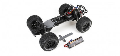 1/10 Ruckus 2WD Green/Black RTR Monster Truck