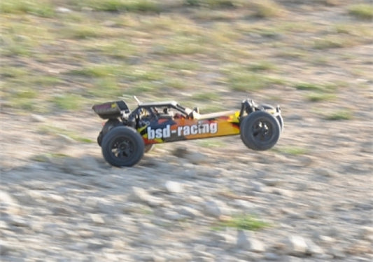 Prime Baja 1/10th Buggy